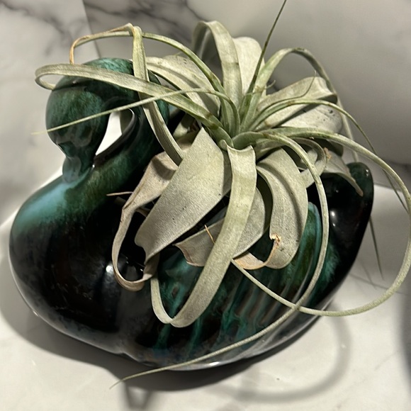 Blue Mountain pottery swan bowl candy dish. Triple tree stamp - Picture 12 of 12